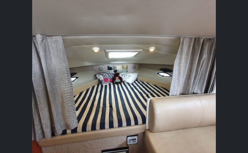 Bayliner 285 SB-kuva-7